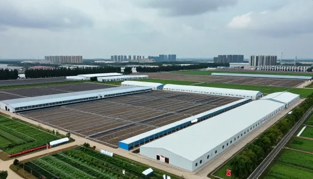 文案创作工具如何适应不同性能场景