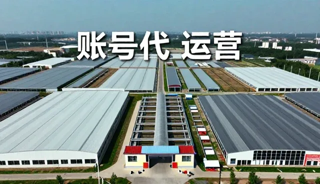 新媒体传播中平面设计的选型关注点